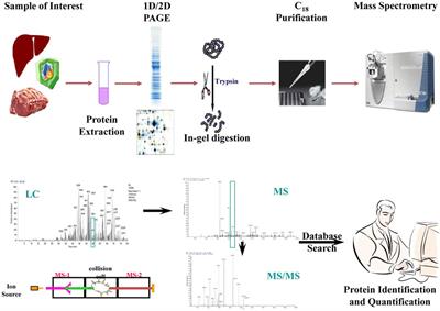 Applications of Omics Technology for Livestock Selection and Improvement